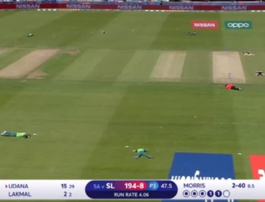 Πρωτοφανείς εικόνες σε γήπεδο - Στο έδαφος οι παίκτες για να αποφύγουν... εξαγριωμένο σμήνος μελισσών (βίντεο)